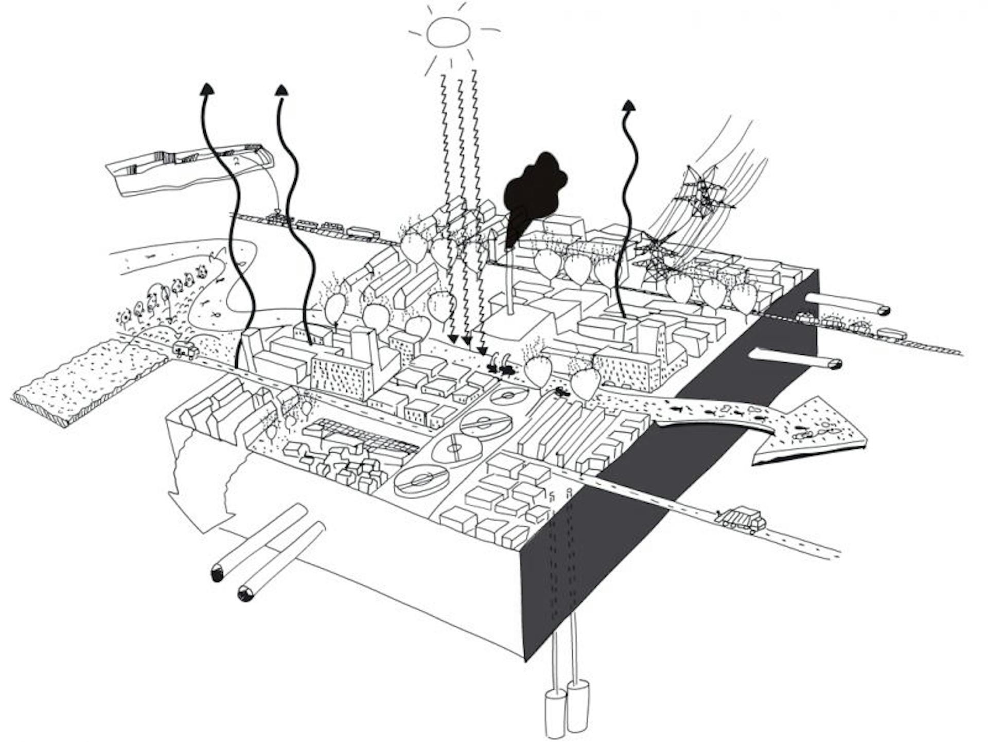 De stad als ecosysteem: ontwerpen met stromen - artikel Blauwe Kamer