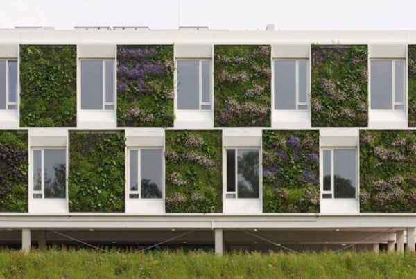 Stel binnen maand drempelwaarde in om uit stikstof impasse te komen - featured image