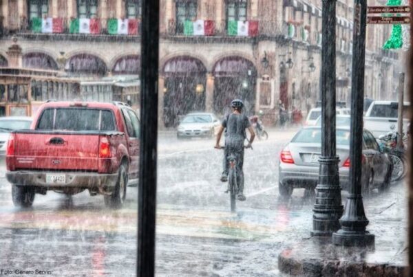 Cutting-edge kennis over klimaatadaptatie in de gebouwde omgeving - featured image