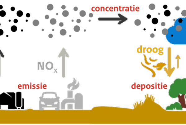 Spoedwet stikstof eerste stap in goede richting - featured image