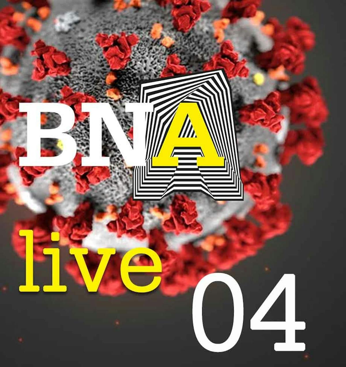 Verslag BNA Live 04 - lobby en belangenbehartiging - featured image