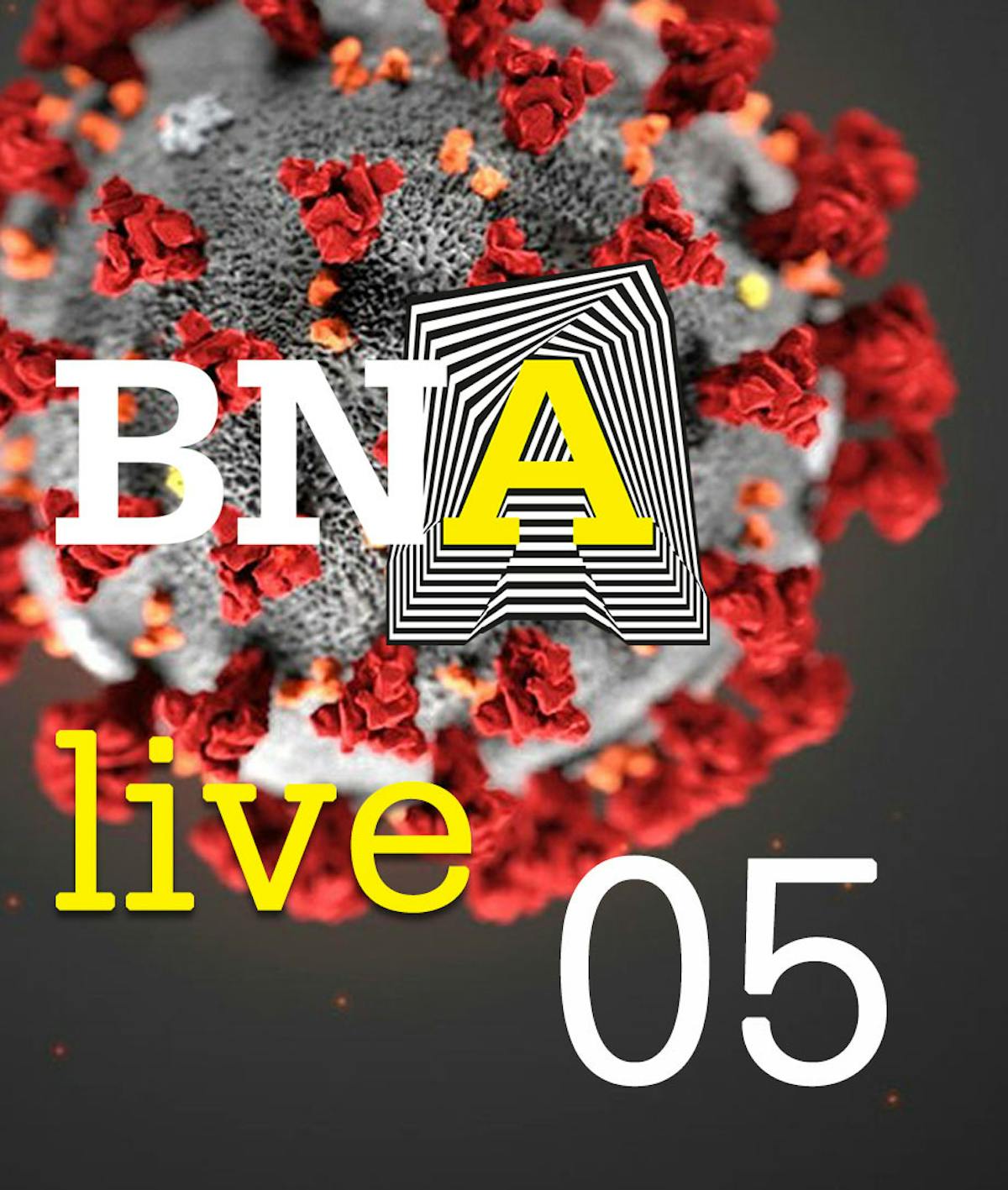 Verslag BNA Live 5 // NOW-2 regeling - featured image