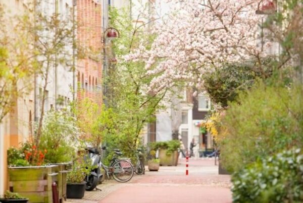 BNA partner in onderzoek naar groene stadsontwikkeling - featured image