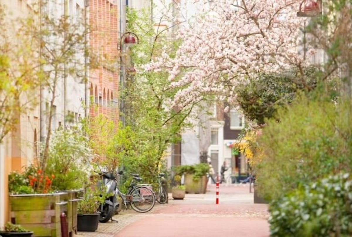 BNA partner in onderzoek naar groene stadsontwikkeling - featured image