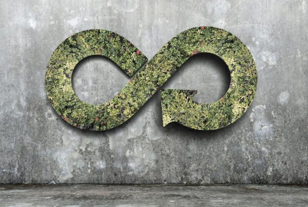 Hoe bevorder je hergebruik van (bouw-) materialen? - featured image