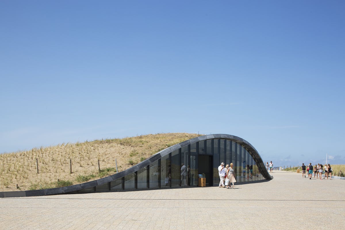 Natuurinclusief ontwerpen geeft natuur de ruimte en vergroot de leefbaarheid - featured image