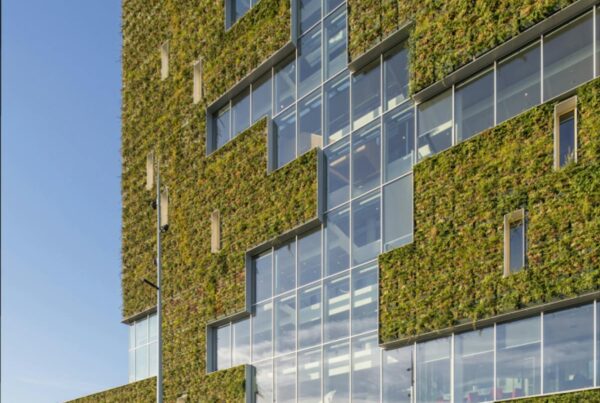 Belangrijke rol architecten bij het ontwerpen van klimaatadaptieve gebouwen en omgevingen - featured image