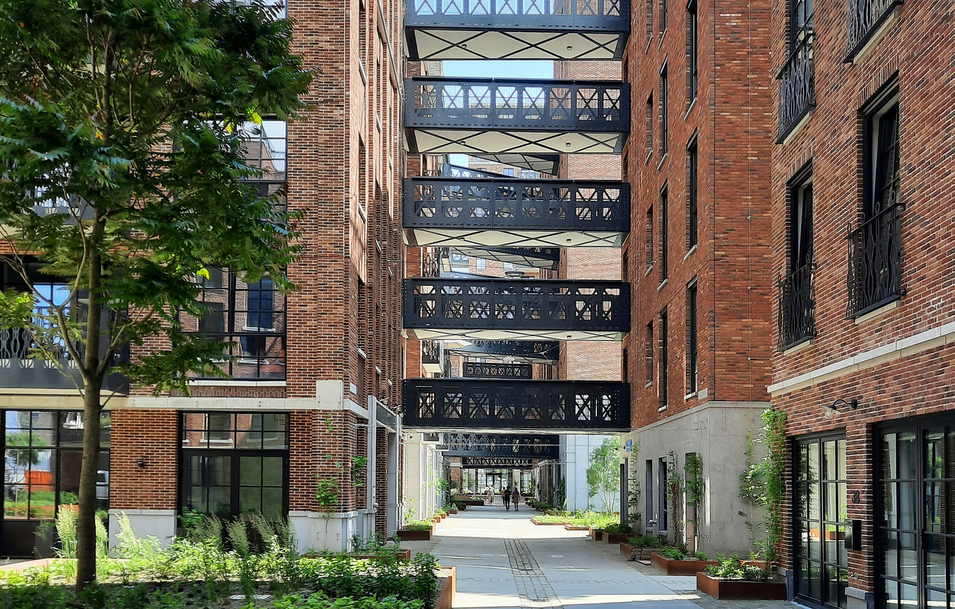 Little C - Hoofdfoto