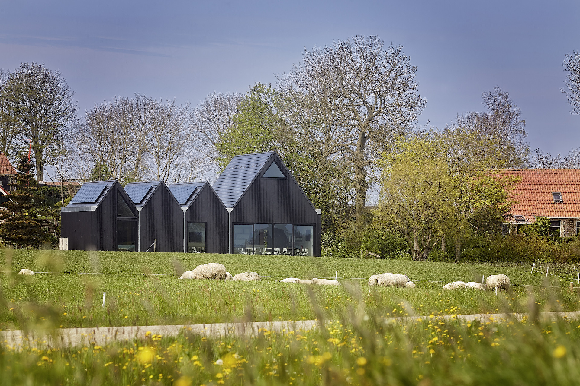 Bezoekerscentrum Hegebeintum - Hoofdfoto