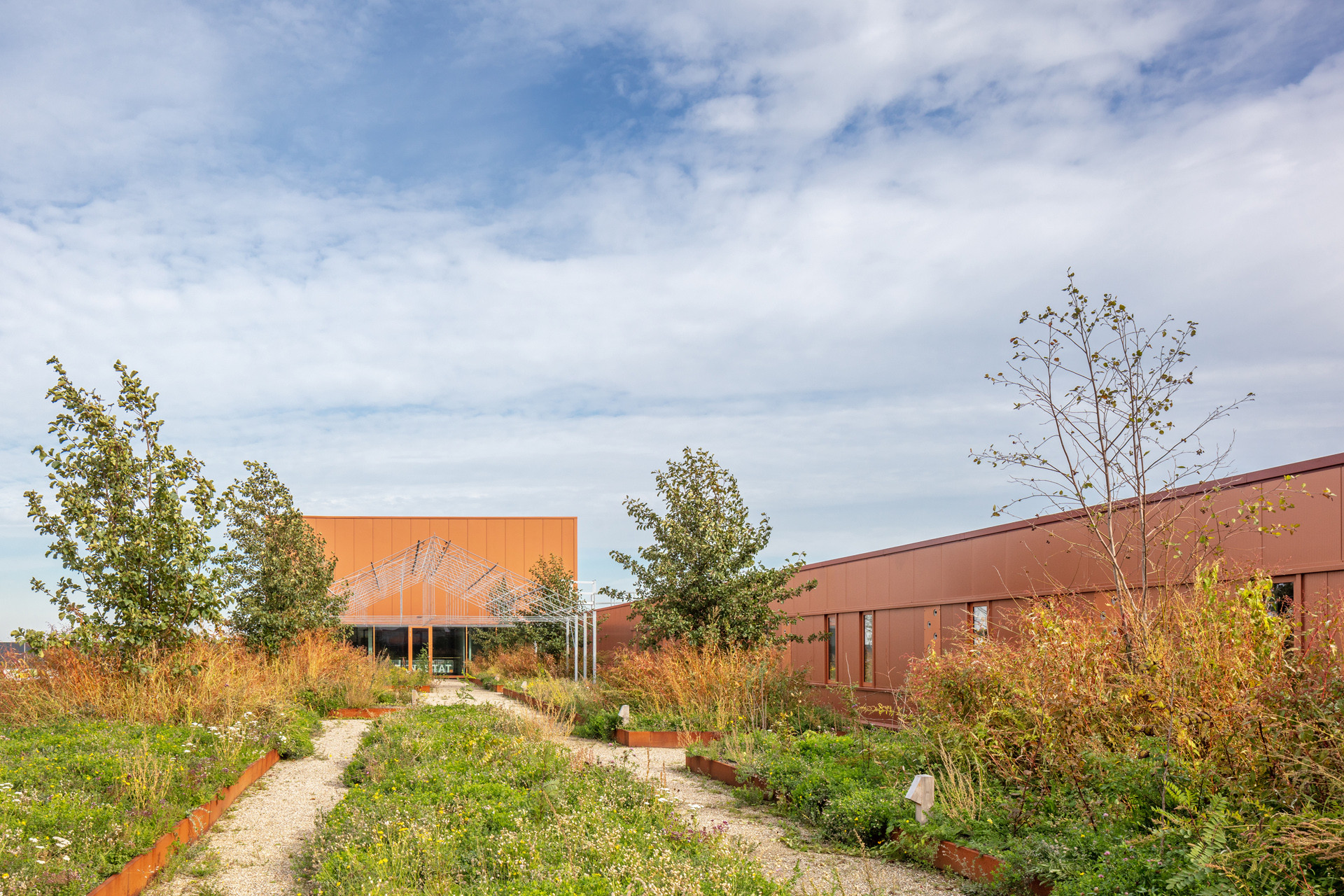 Virgo Aalsmeer - Hoofdfoto