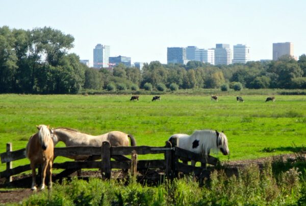 OPROEP: experts ruimtelijk ontwerp gezocht - featured image