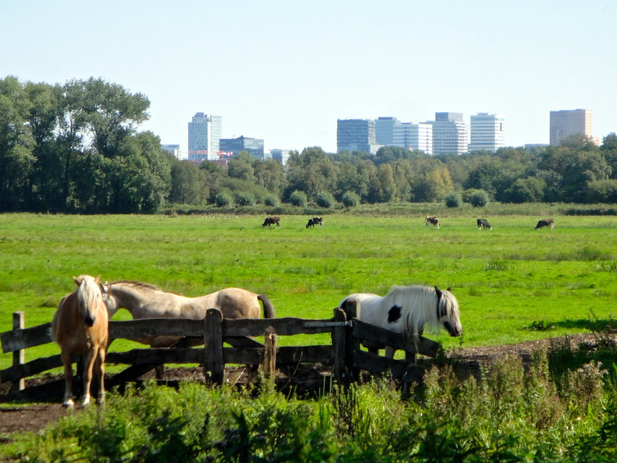 OPROEP: experts ruimtelijk ontwerp gezocht - featured image