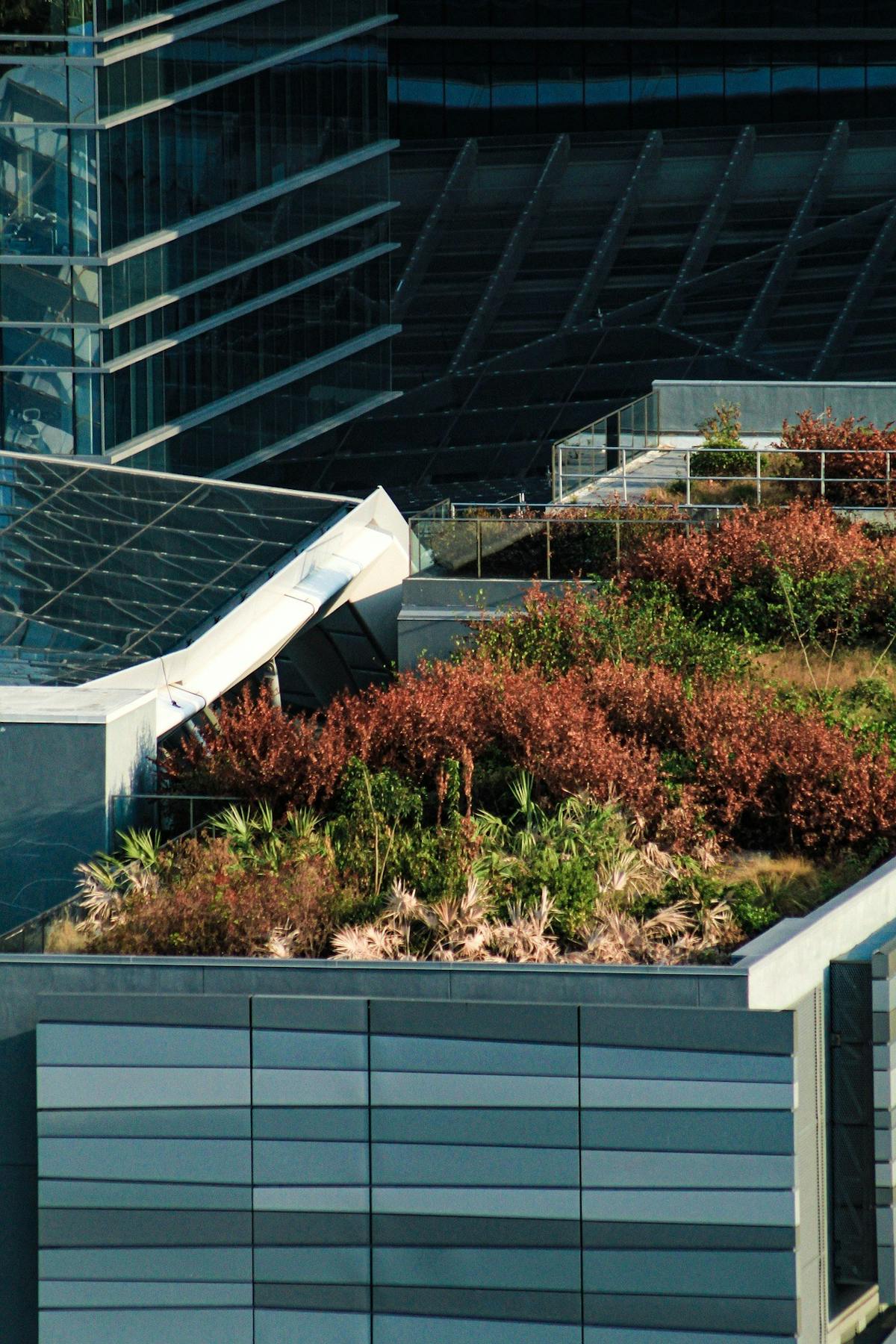 Inbreng BNA rondetafelgesprek Architectuurbeleid - featured image