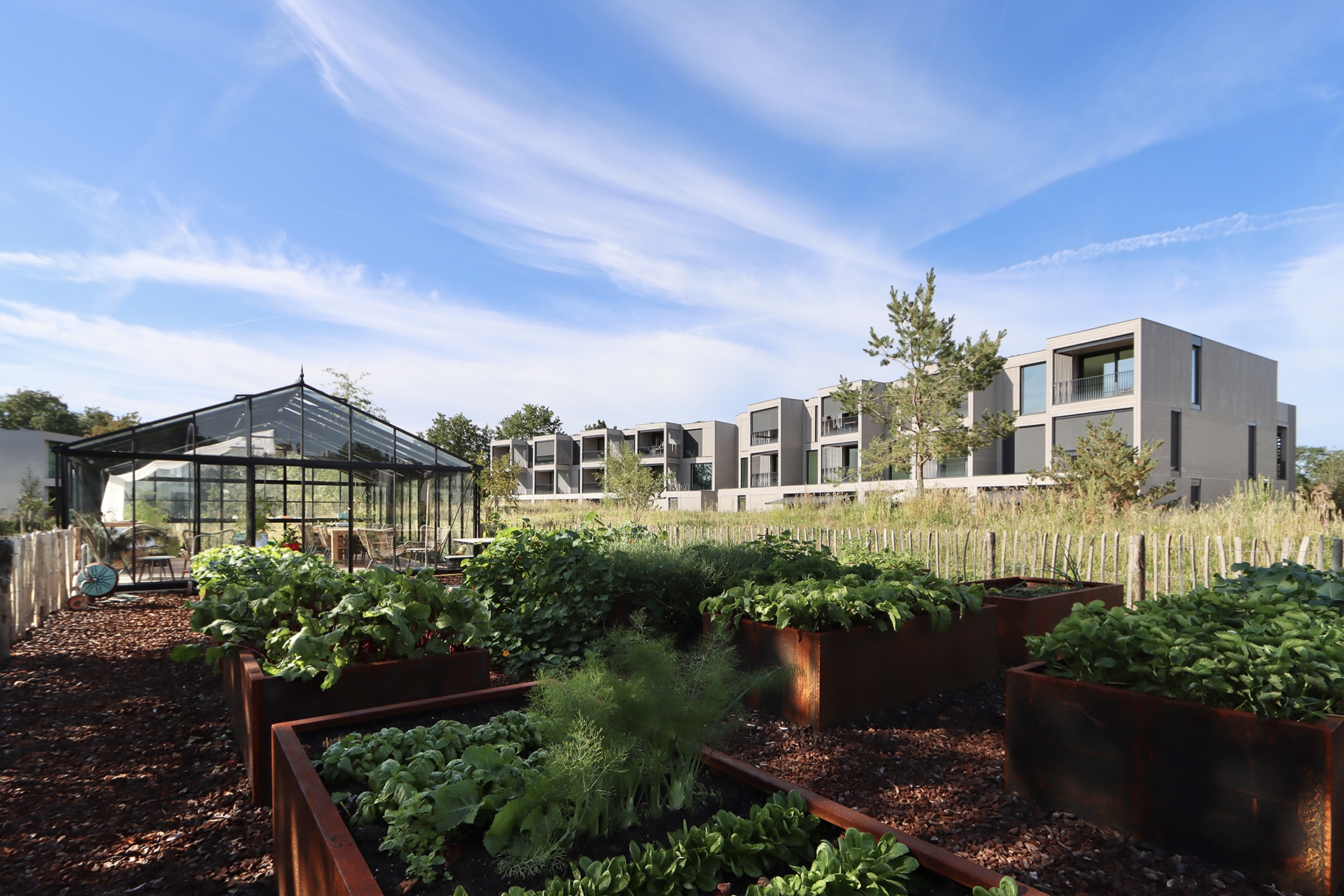 Rivierduinen - Foto 6