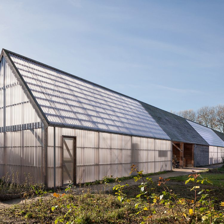 Leer- en buurttuin De Buitenkans
