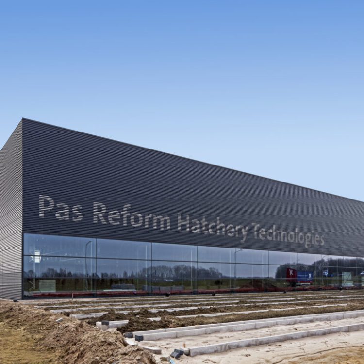 PAS Reform