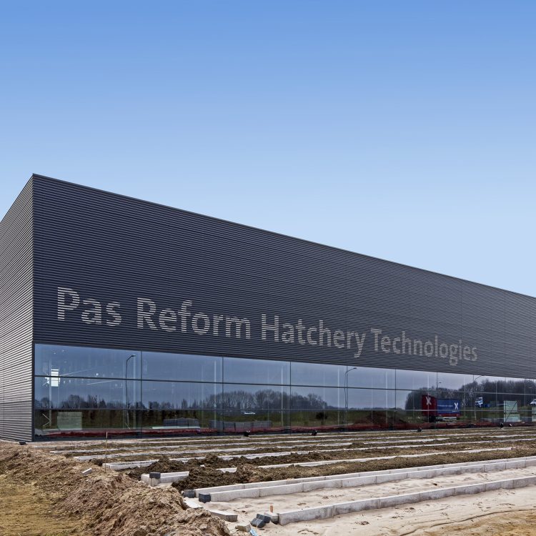 PAS Reform