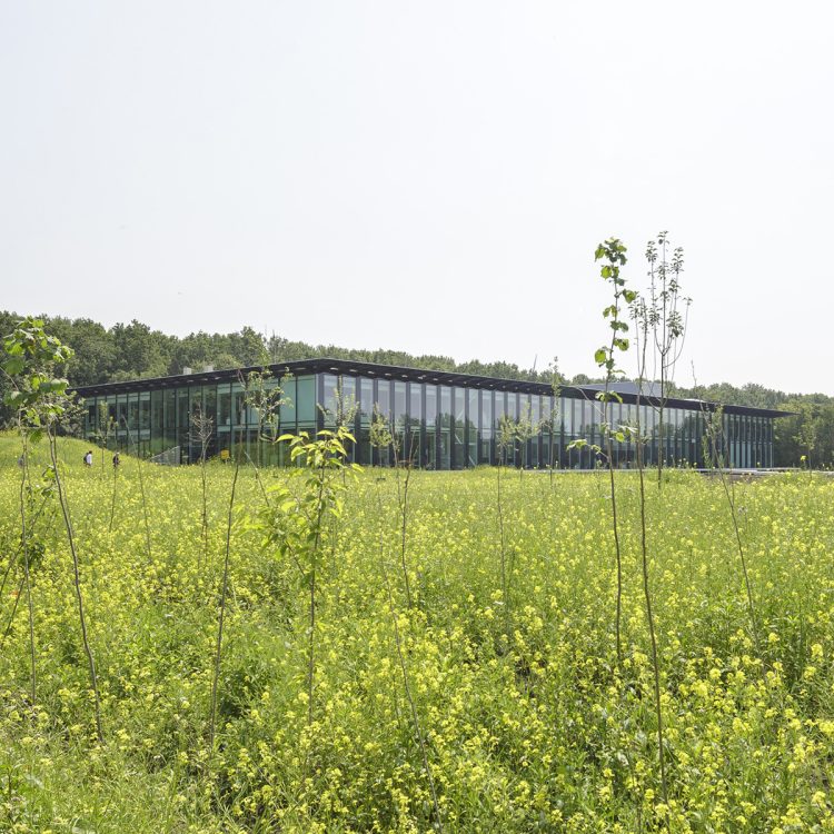 KWR - Foto 3