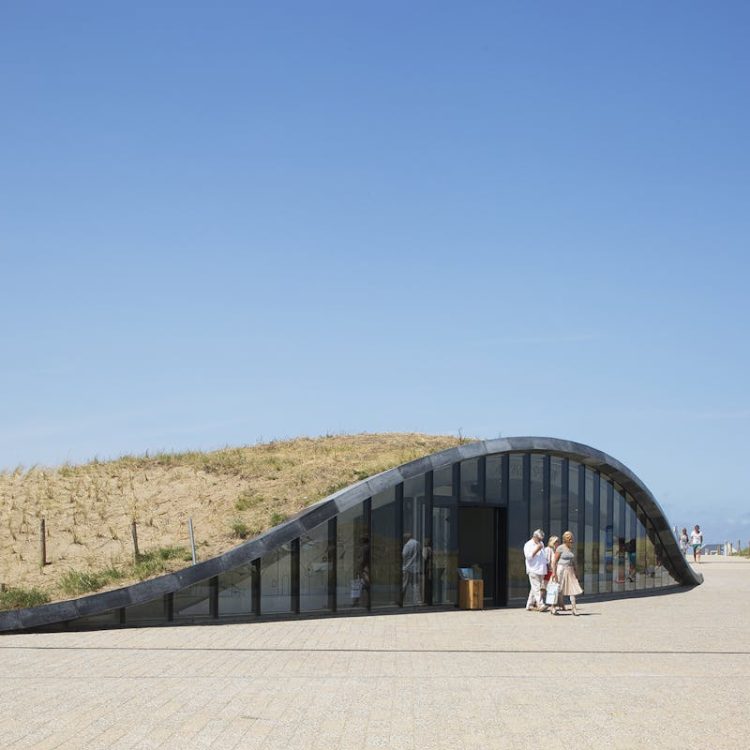 Natuurinclusief ontwerpen geeft natuur de ruimte en vergroot de leefbaarheid - featured image