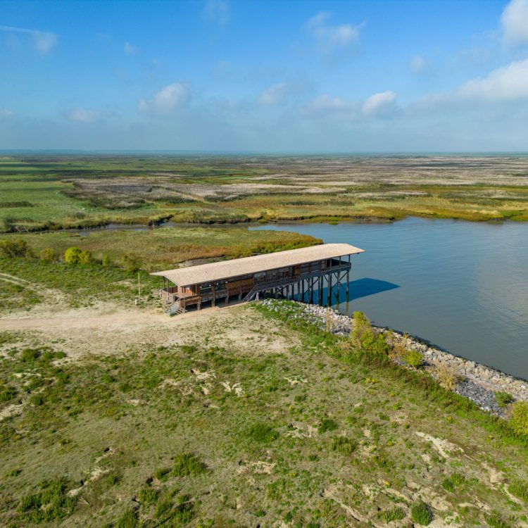 Veldstation Groot Saeftinghe - Foto 6