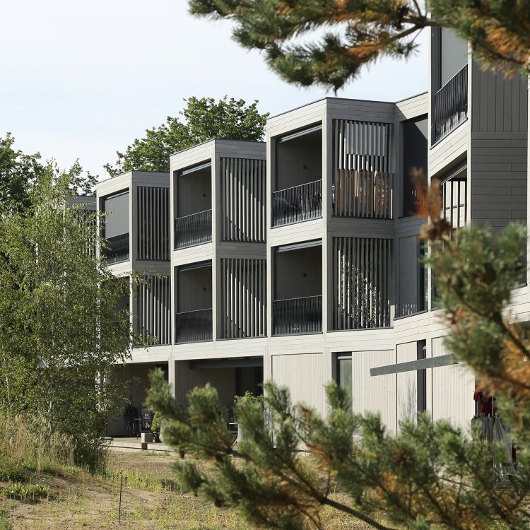 Rivierduinen - Foto 4