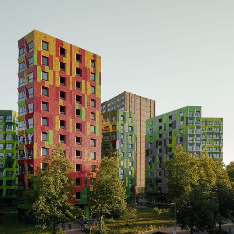 De Kwekerij fase 2