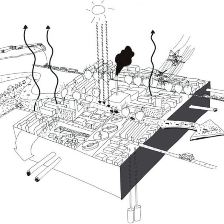 De stad als ecosysteem: ontwerpen met stromen - artikel Blauwe Kamer