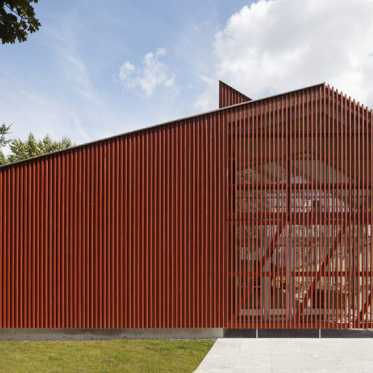 Proyecto Roble