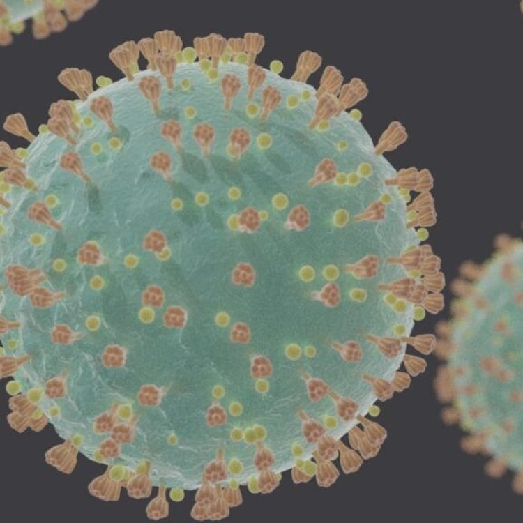 Impact coronacrisis: grote verschillen tussen bureaus - featured image