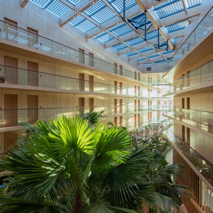 Hotel Jakarta - Foto 6