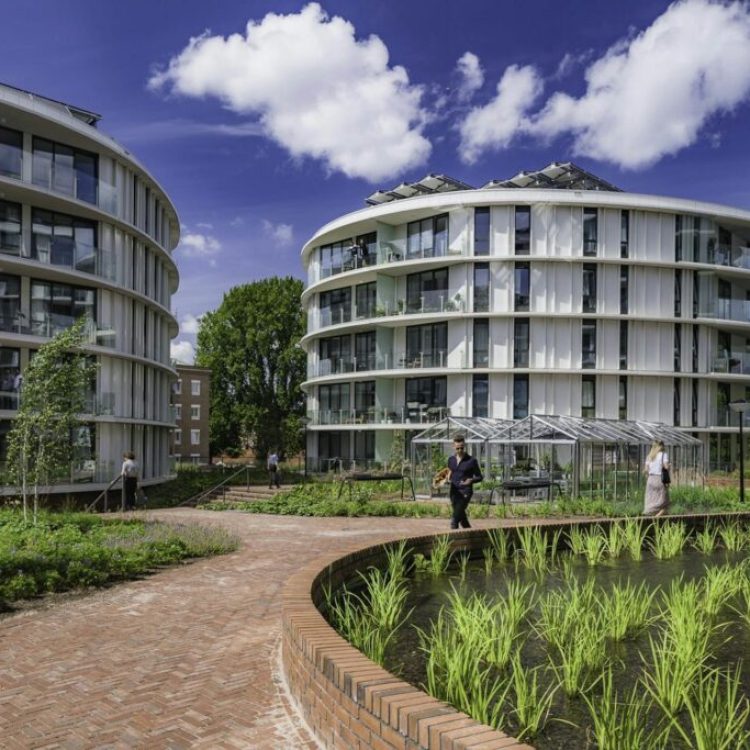 Value assessment - Rhapsody